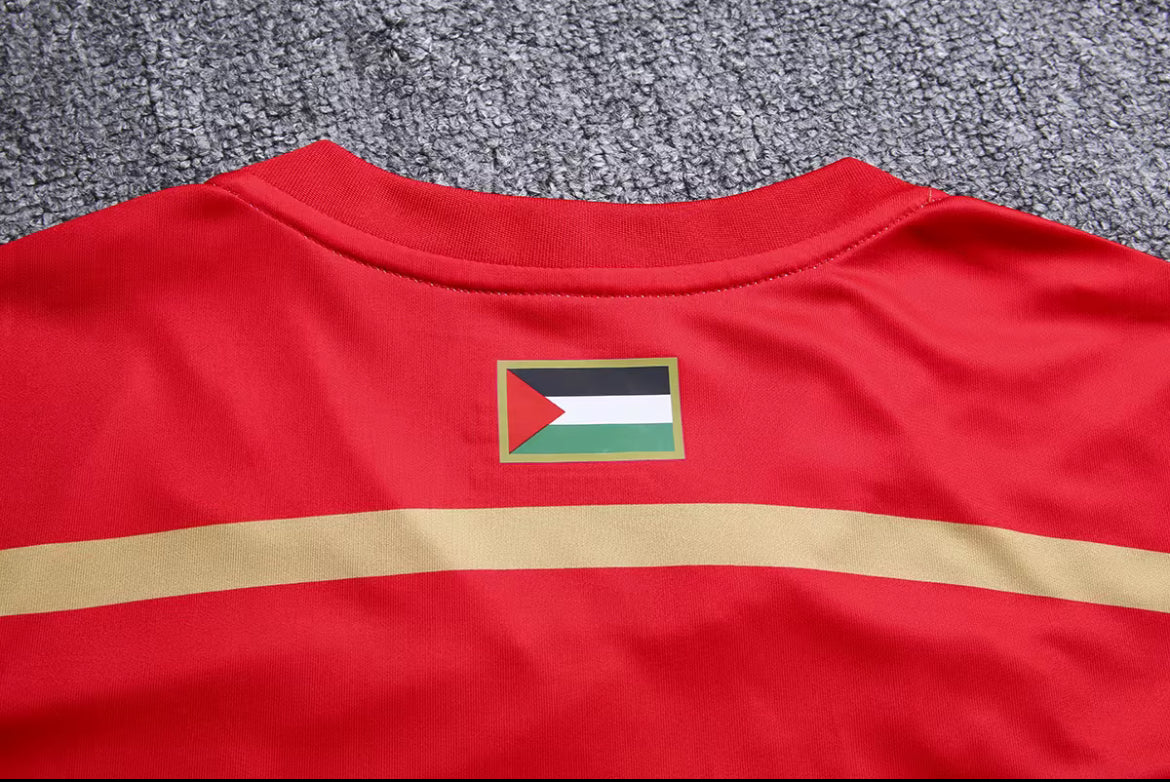 Palestina PFA T-shirt Zwart