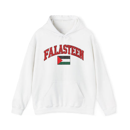 Falasteen Flag Hoodie
