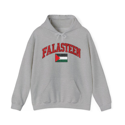 Falasteen Flag Hoodie