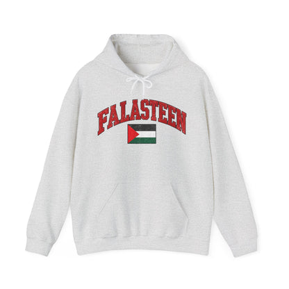 Falasteen Flag Hoodie