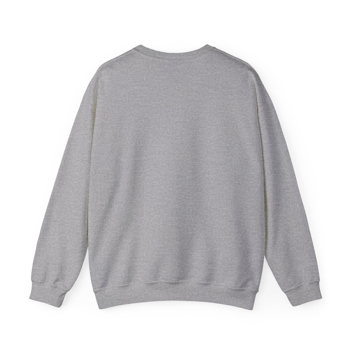 Falasteen Flag Sweatshirt
