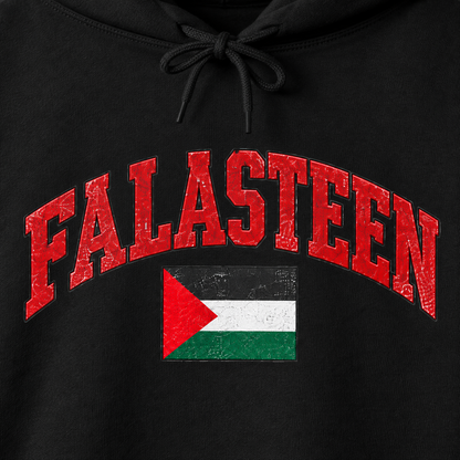 Falasteen Flag Hoodie