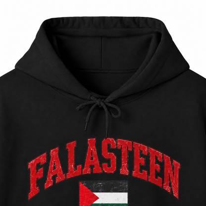 Falasteen Flag Hoodie