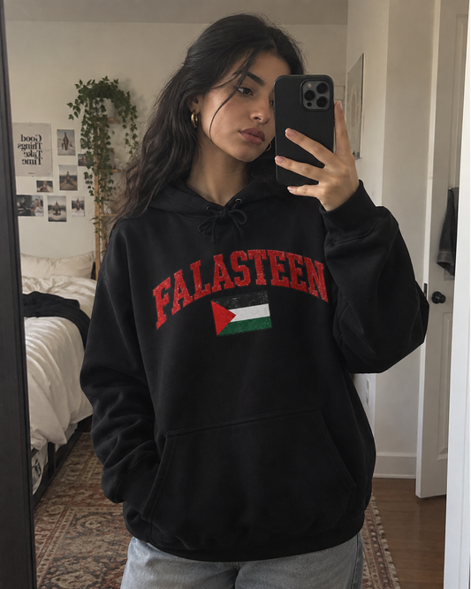 Falasteen Flag Hoodie