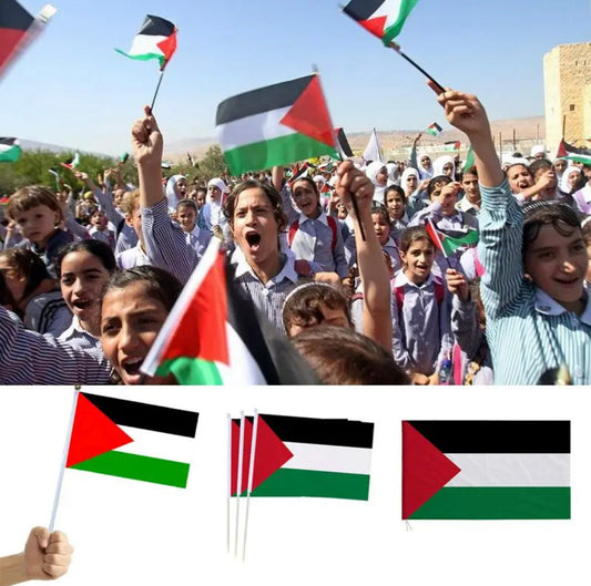 Palestina vlag mini 14x21 cm