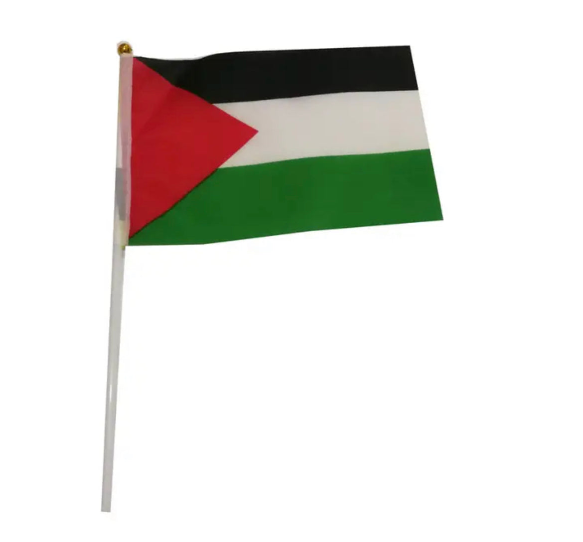 Palestina vlag mini 14x21 cm