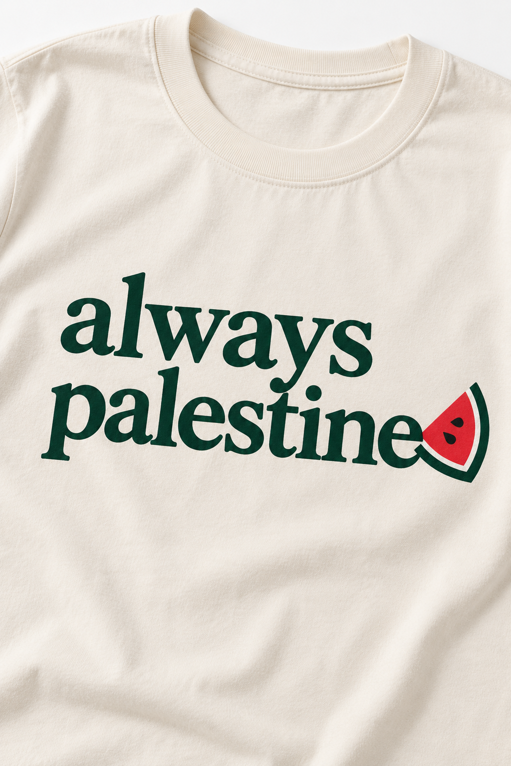 Always Palestine Tee detail-collar
